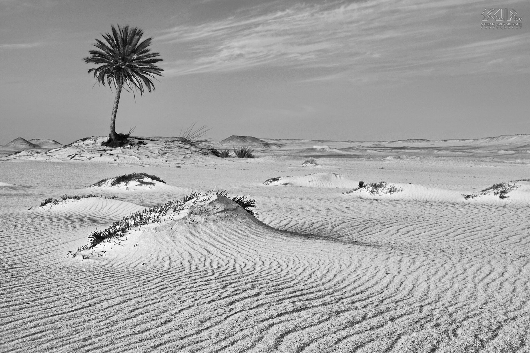 Sparse vegetation  Stefan Cruysberghs